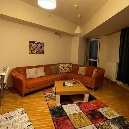 Huzurlu Sik Daire Apartment Istanbul
